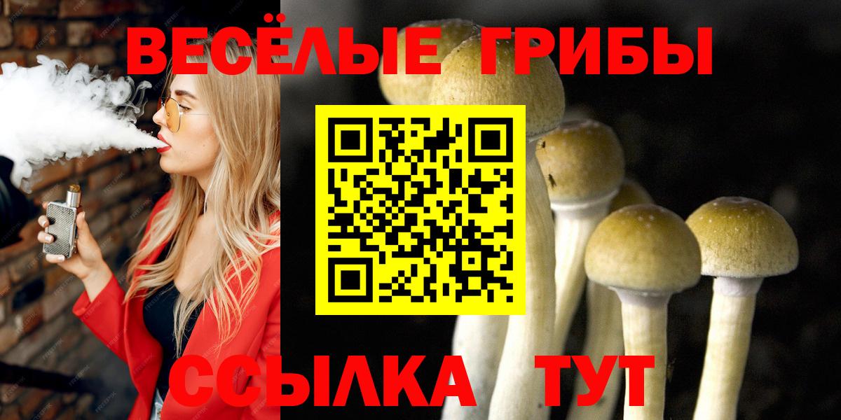 Галлюциногенные грибы ЛСД  Вход с VPN  Владикавказ 
